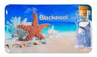 **magnet Shell Bottle 3d Blackpool**
