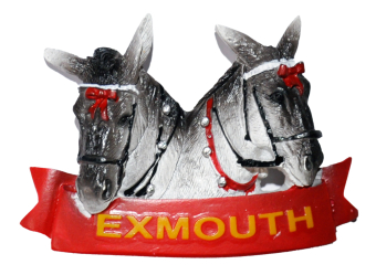 #  **magnet Donkeys Exmouth**