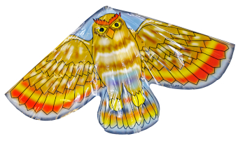 Kite Plastic Bird In Display Box