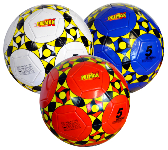 Inflated 32 Panel Football