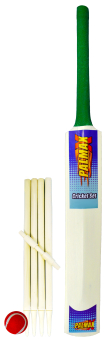 Cricket Set (size 5)