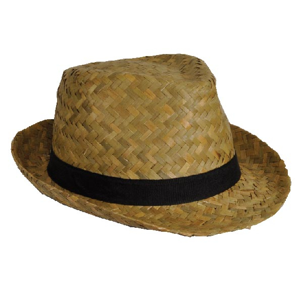 Hat Adults Straw Trilby : Palgrave