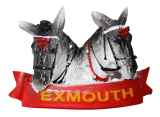 #  **magnet Donkeys Exmouth**
