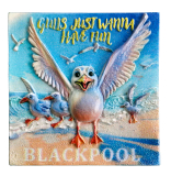 Magnet Gulls Just Wanna Have Fun Blackpool