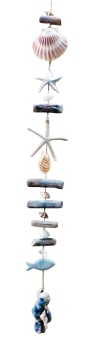 Shells And Starfish Hanger