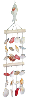 Shell Ladder With Fish