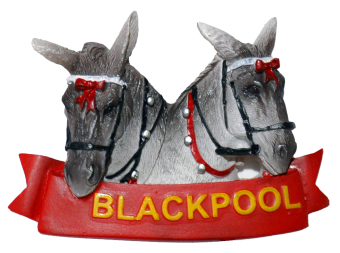 **magnet Donkey **blackpool**