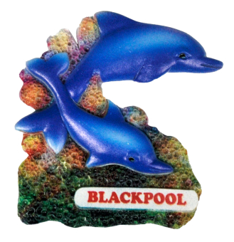 **magnet Dolphins Blackpool**